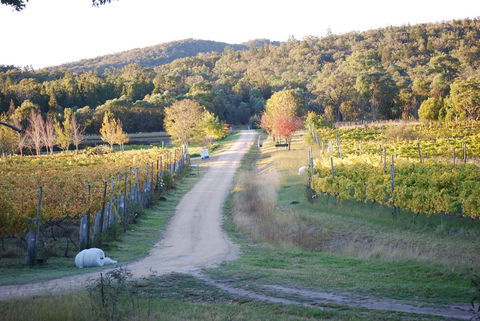 Twisted Gum Vineyard Cottage - Hotel Gold Coast 1