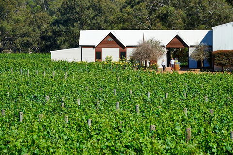 Upper Reach Spa Cottage - Hotel Gold Coast 0
