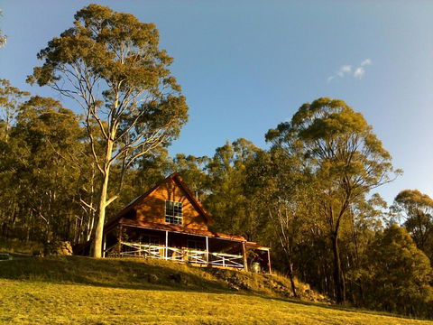Wallaby Leap - Hotel Gold Coast 2