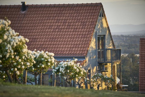 Wandin Valley Estate - Hotel Gold Coast 0