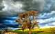 Wantana Cottage Farmstay - thumb 2
