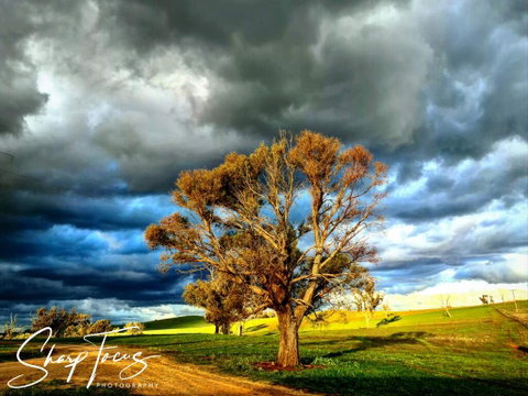 Wantana Cottage Farmstay - Hotel Gold Coast 2