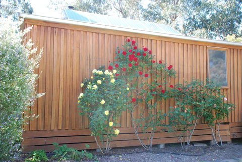 Bluegum Ridge Cottages - Hotel Gold Coast 23