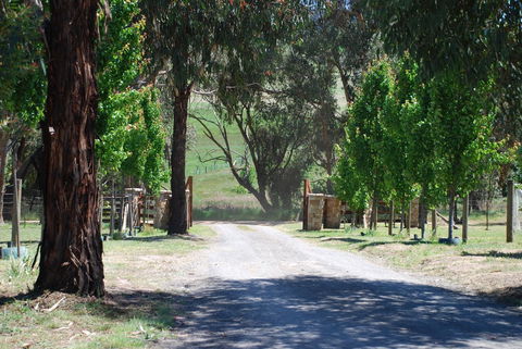 Bluegum Ridge Cottages - Hotel Gold Coast 3