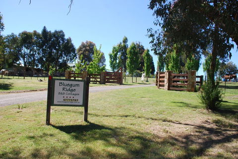 Bluegum Ridge Cottages - Hotel Gold Coast 1