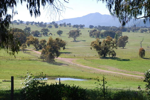Bluegum Ridge Cottages - Hotel Gold Coast 31