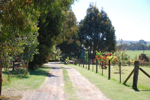 Bluegum Ridge Cottages - Hotel Gold Coast 4