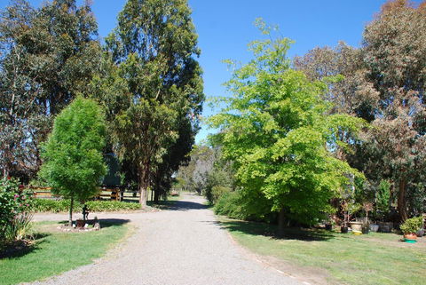 Bluegum Ridge Cottages - Hotel Gold Coast 5