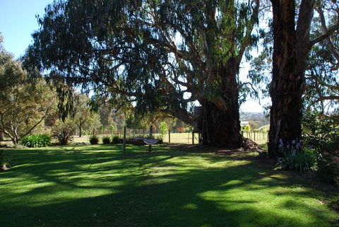 Bluegum Ridge Cottages - Hotel Gold Coast 29