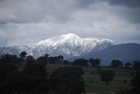 Bluegum Ridge Cottages - Hotel Gold Coast 35