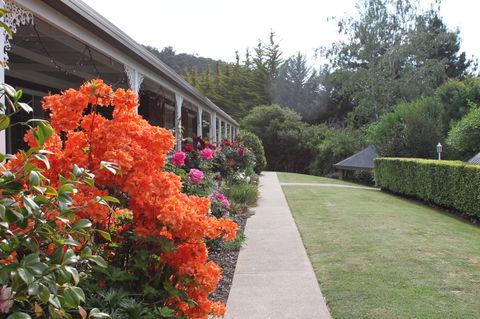 Alpine Aspects - Hotel Gold Coast 34