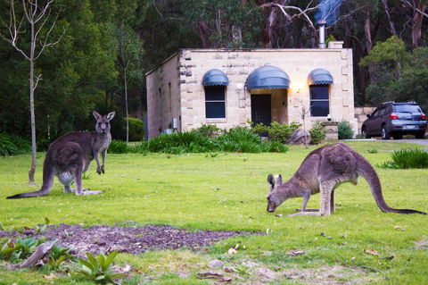 Marwood Villas - Hotel Gold Coast 31