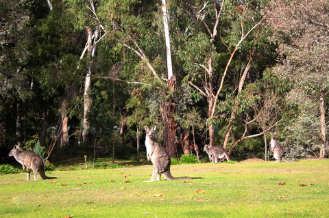 Marwood Villas - Hotel Gold Coast 28
