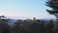 Book Monbulk Accommodation Vacations Hotel Gold Coast Hotel Gold Coast