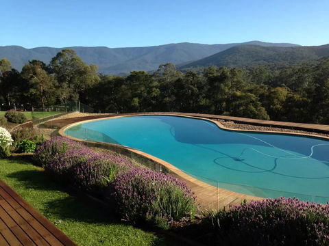 Kangaroo Manor - Hotel Gold Coast 14