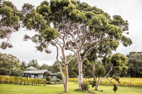 Polperro Villas - Hotel Gold Coast 20