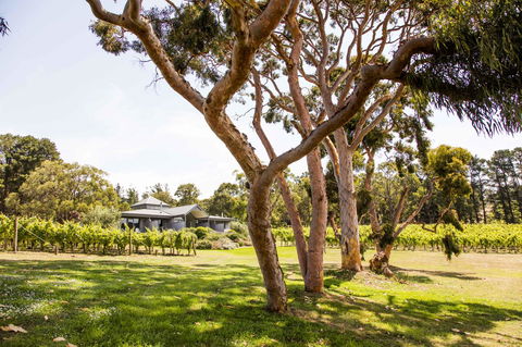 Polperro Villas - Hotel Gold Coast 17