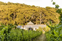 Book Red Hill Accommodation Vacations Hotel Gold Coast Hotel Gold Coast