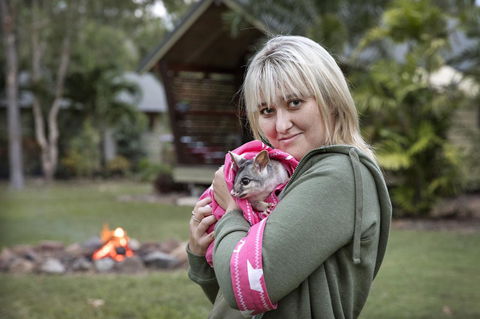 Airlie Beach Eco Cabins - Adults Only - Hotel Gold Coast 31