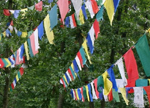 Noosa Hinterland Retreat - Hotel Gold Coast 10