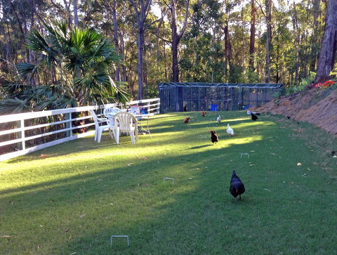 Noosa Hinterland Retreat - Hotel Gold Coast 11