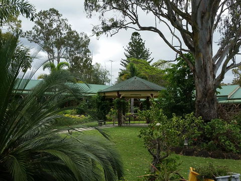 The Bearded Dragon Boutique Hotel - Hotel Gold Coast 28