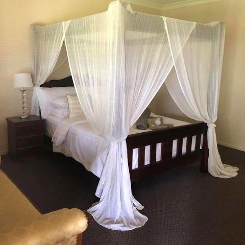 The Bearded Dragon Boutique Hotel - Hotel Gold Coast 1