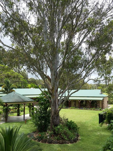 The Bearded Dragon Boutique Hotel - Hotel Gold Coast 32