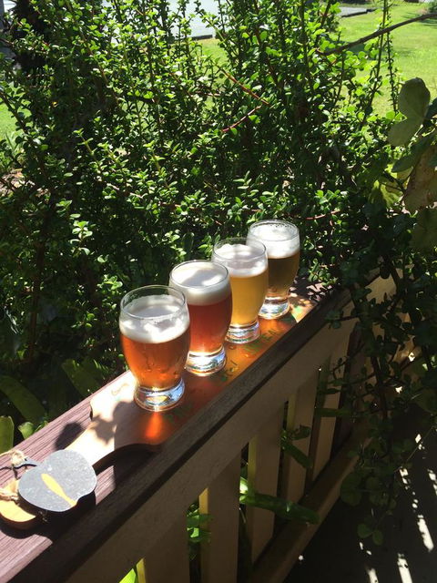 The Bearded Dragon Boutique Hotel - Hotel Gold Coast 31