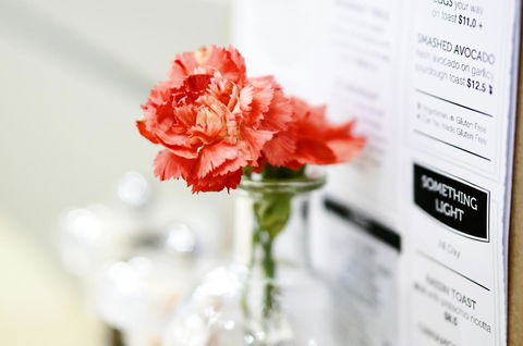 Madison Plaza Townsville - Hotel Gold Coast 20