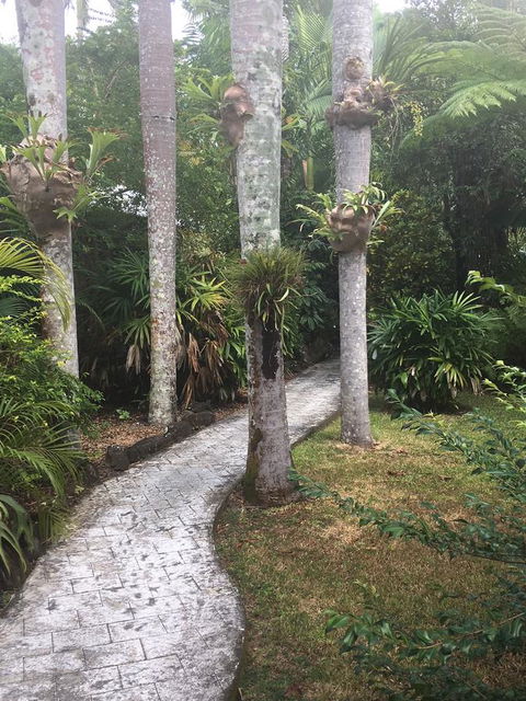 Eco Village Mission Beach - Hotel Gold Coast 6