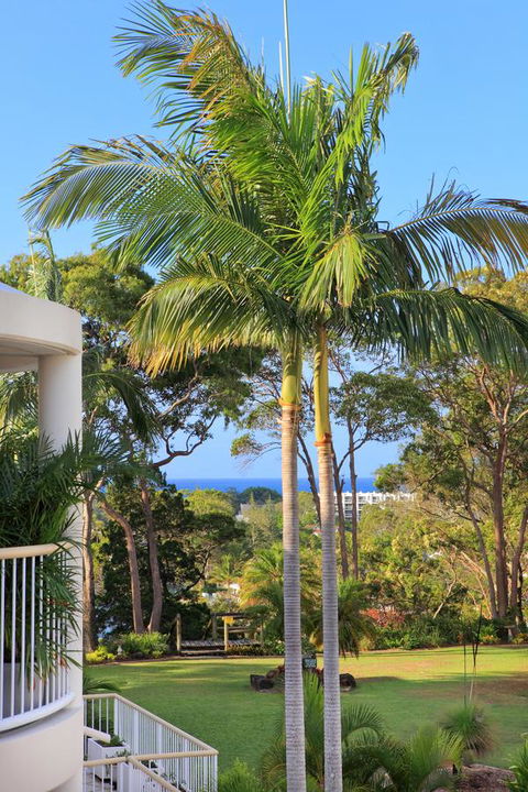 Serenity Apartments Noosa - Hotel Gold Coast 14