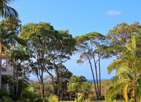Serenity Apartments Noosa - Hotel Gold Coast 26