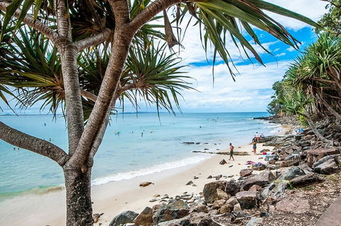 Noosa De Villa - Hotel Gold Coast 15