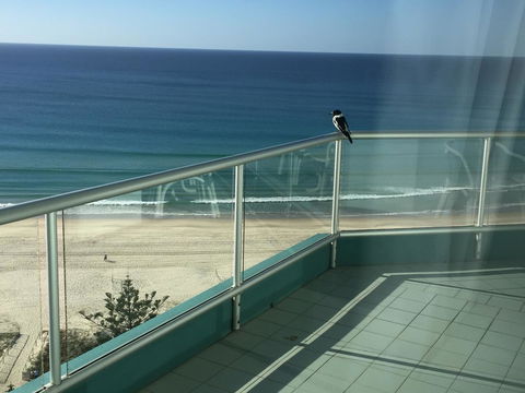 Ocean Plaza Resort - Hotel Gold Coast 28