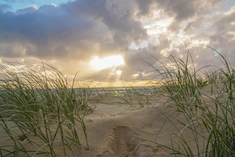 San Marino By The Sea Apartments - Hotel Gold Coast 29