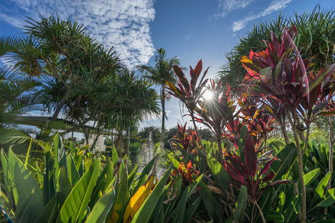Currumbin Sands On The Beach - Hotel Gold Coast 9