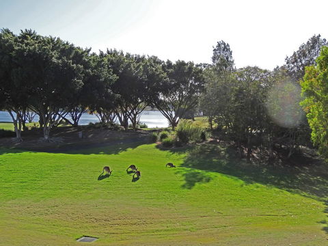 Waterfront Resort Villa With Buggy - Hotel Gold Coast 32