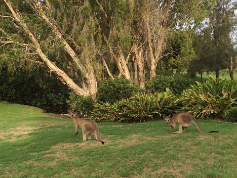 Waterfront Resort Villa With Buggy - Hotel Gold Coast 19