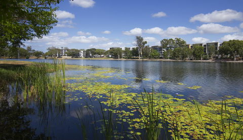 Jacana Apartments - Hotel Gold Coast 15