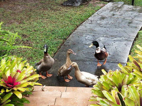 Waterfront Theme Park Getaway - Hotel Gold Coast 25