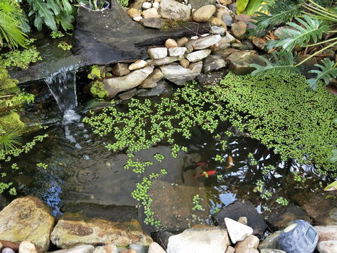 Waterfront Theme Park Getaway - Hotel Gold Coast 26