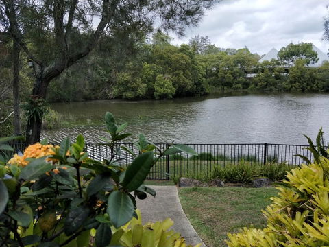 Waterfront Theme Park Getaway - Hotel Gold Coast 23