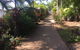 Casuarina - thumb 13