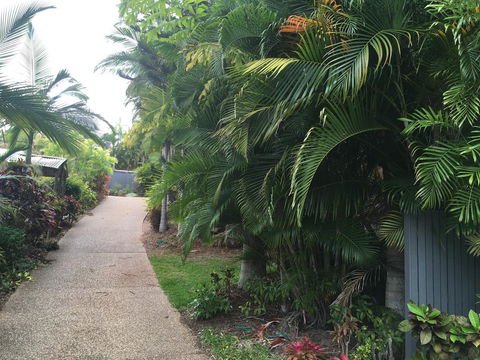 Casuarina - Hotel Gold Coast 21