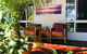 Casuarina - thumb 20