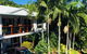 Casuarina - thumb 1