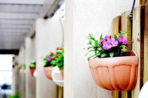 Spring Hill Mews Apartments - Hotel Gold Coast 12