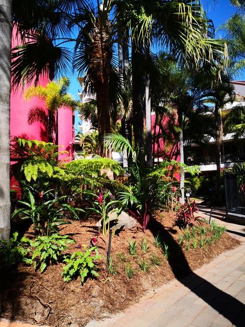 Enderley Gardens Resort - Hotel Gold Coast 12