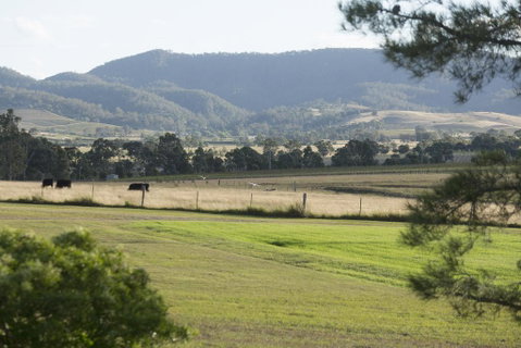 Windarra Lodge - Hotel Gold Coast 3
